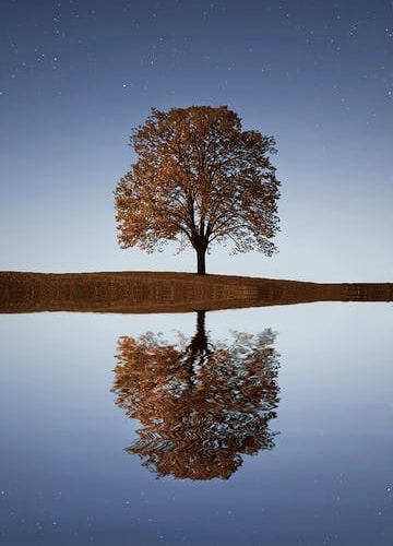 story-image