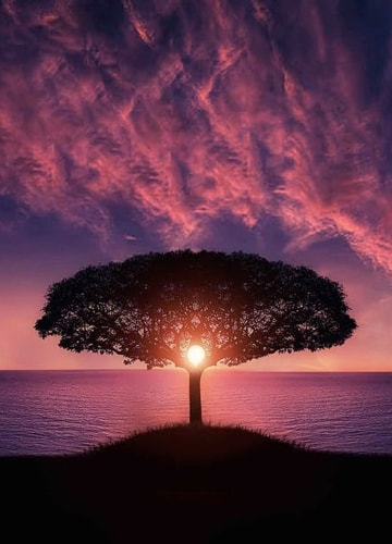 story-image